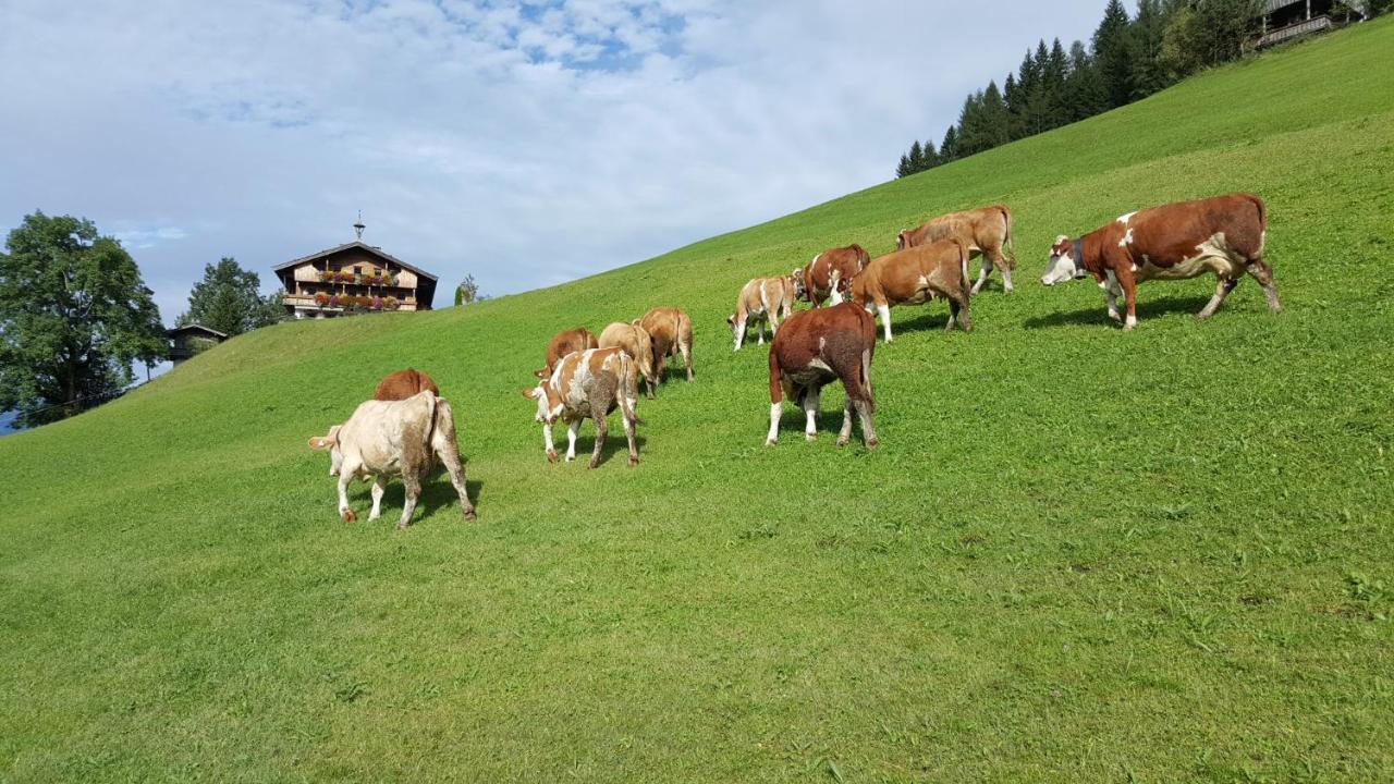 Berggasthof Schatzbergalm Thierbach Экстерьер фото